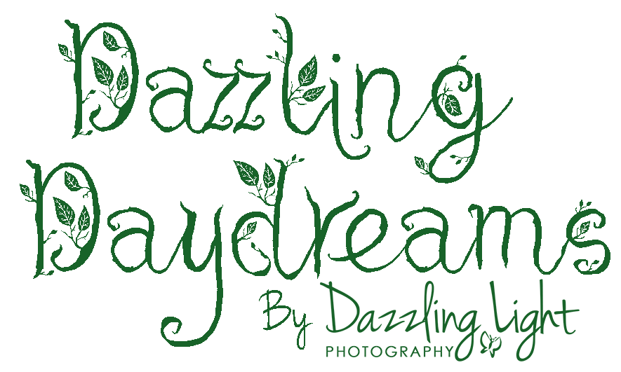 Dazzling Daydreams